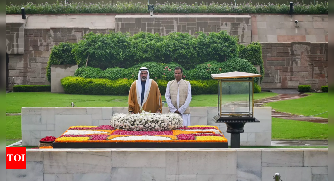 Crown Prince pays tribute to Mahatma – Times of India