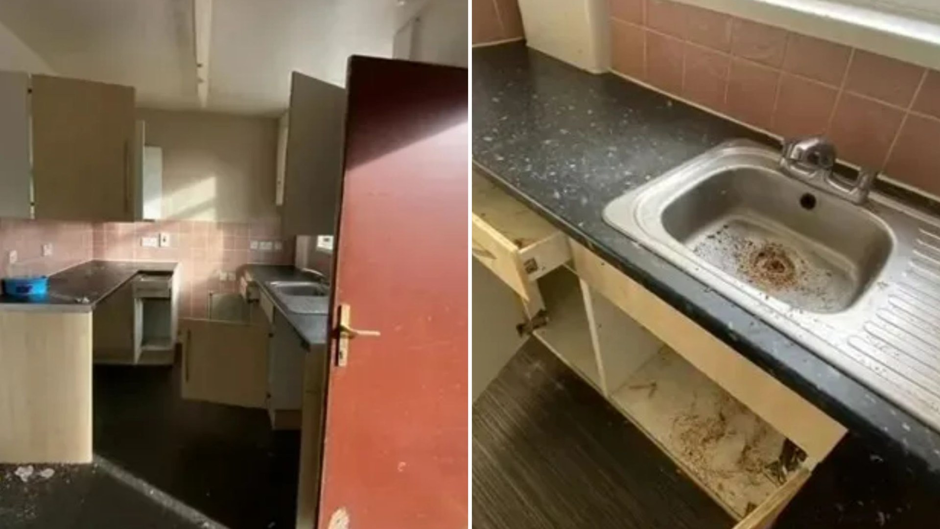 DIY enthusiast transforms ‘disgusting’ social housing unit into chic home with cheap tricks