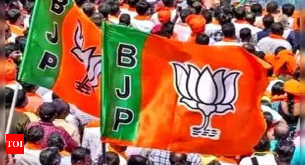 Denial of entry tickets leads to riots in Haryana BJP | India News – Times of India