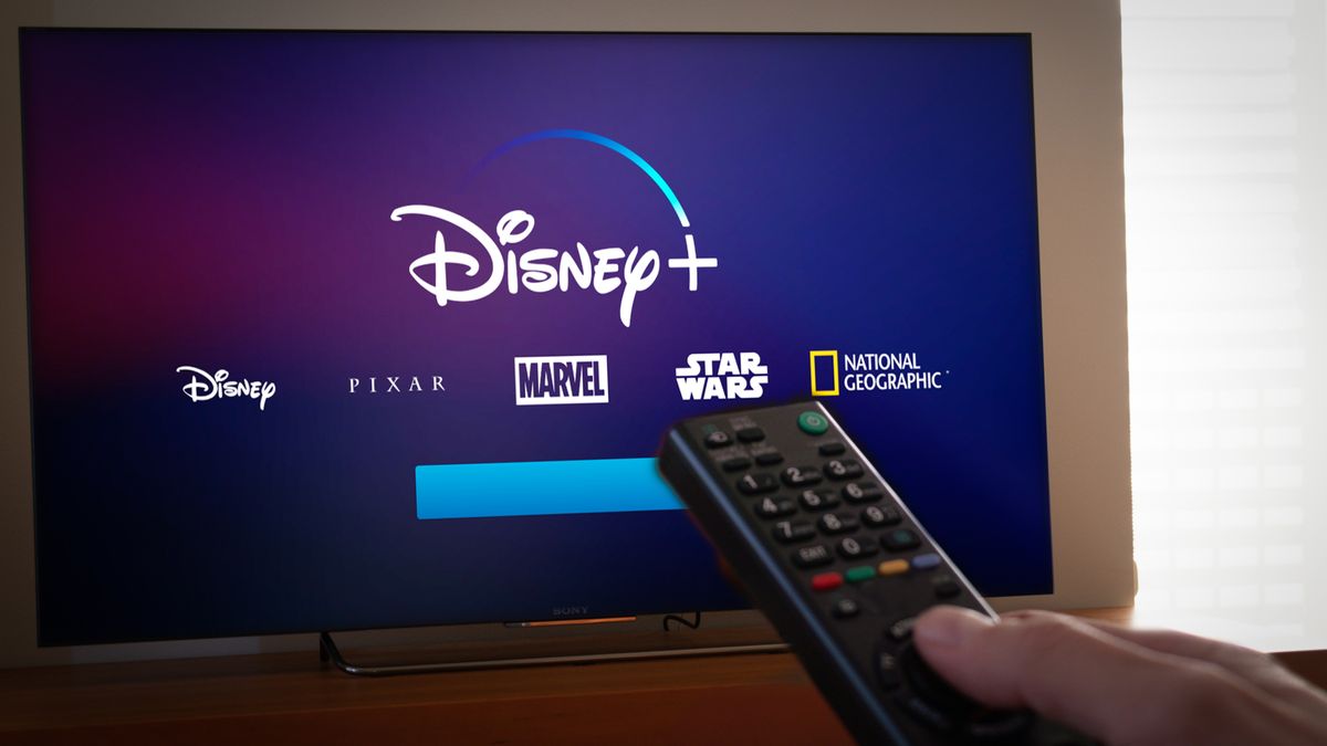 Disney Plus password sharing fees are official: Here’s what it costs and how it compares to Netflix