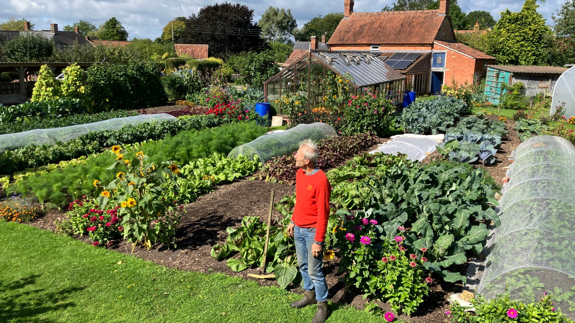 Famous gardener reveals FREE way to get compost – and your plants will love it