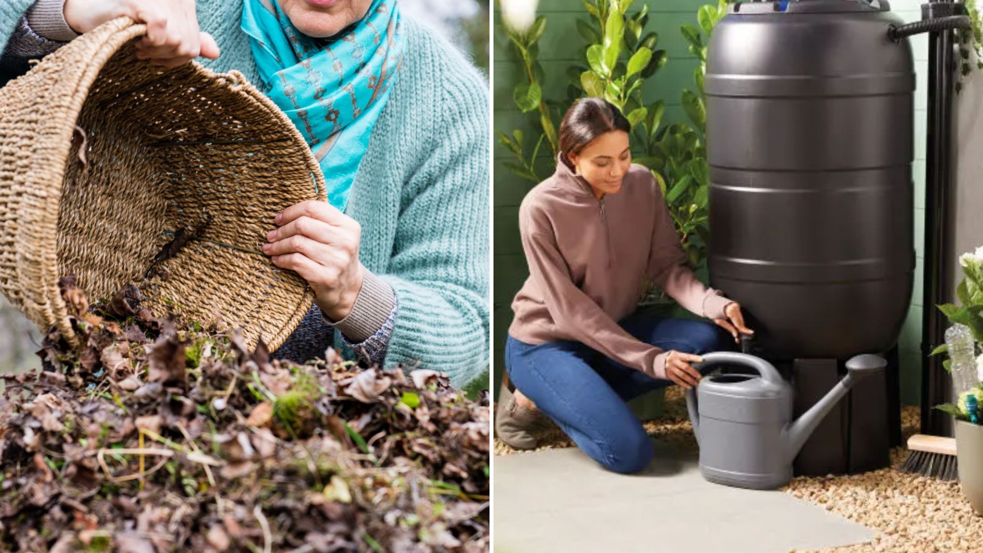 Five jobs to prepare your garden for winter now and save hundreds of euros