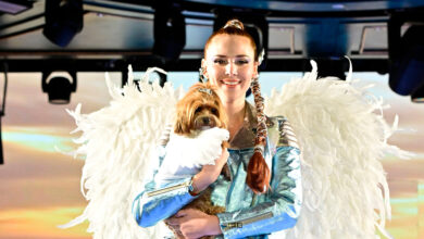 ‘Fur Baby’ Fashion Show Held at NYFW – Featuring Dogs Showcasing Designer Clothes