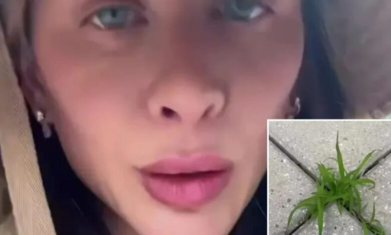 Garden enthusiast reveals free trick to kill weeds instantly and they won’t grow back