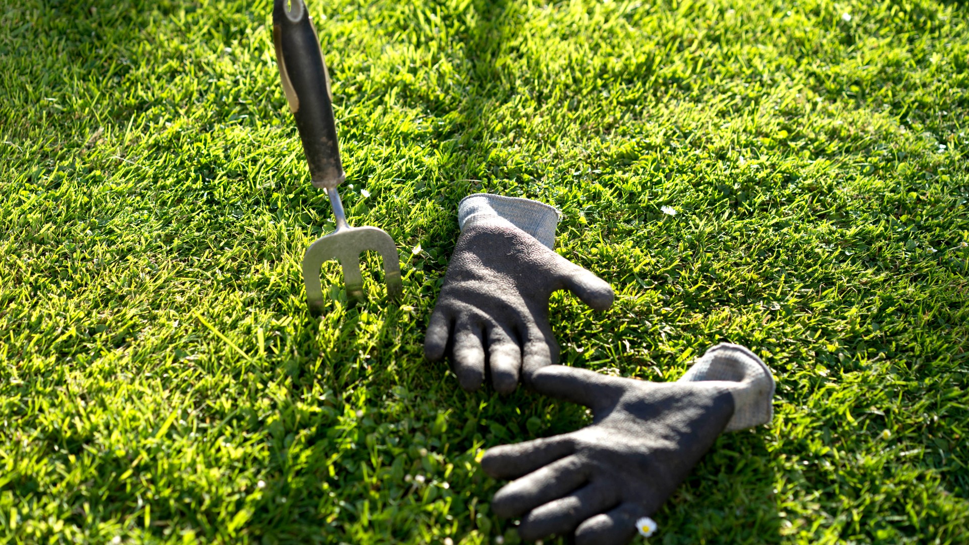 Gardener shares chore you MUST do now that it’s September and cold