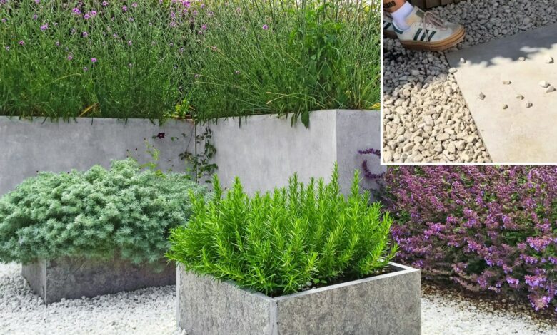 Gardening pro’s £12 trick that can transform your patio – it works like magic