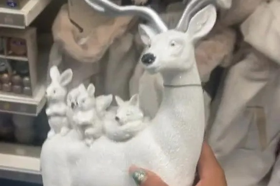 Giggling shoppers spot a VERY rude addition to B&M’s Christmas deer decorations