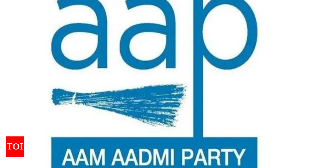 Haryana state elections: AAP releases third list of 11 candidates | India News – Times of India