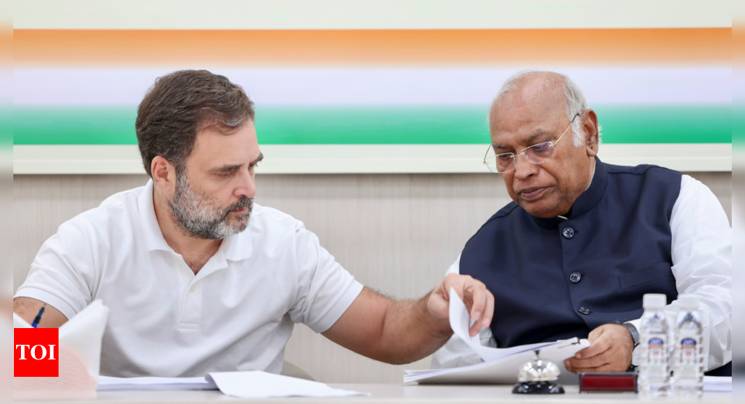 ‘Hawa nikal gayi thi’: Rahul Gandhi shares Kharge’s reaction on Congress’ frozen bank accounts – Times of India