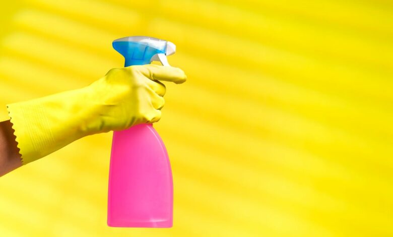 House Cleaning Cheat Sheet: A Step-by-Step Guide to Cleaning Your Home