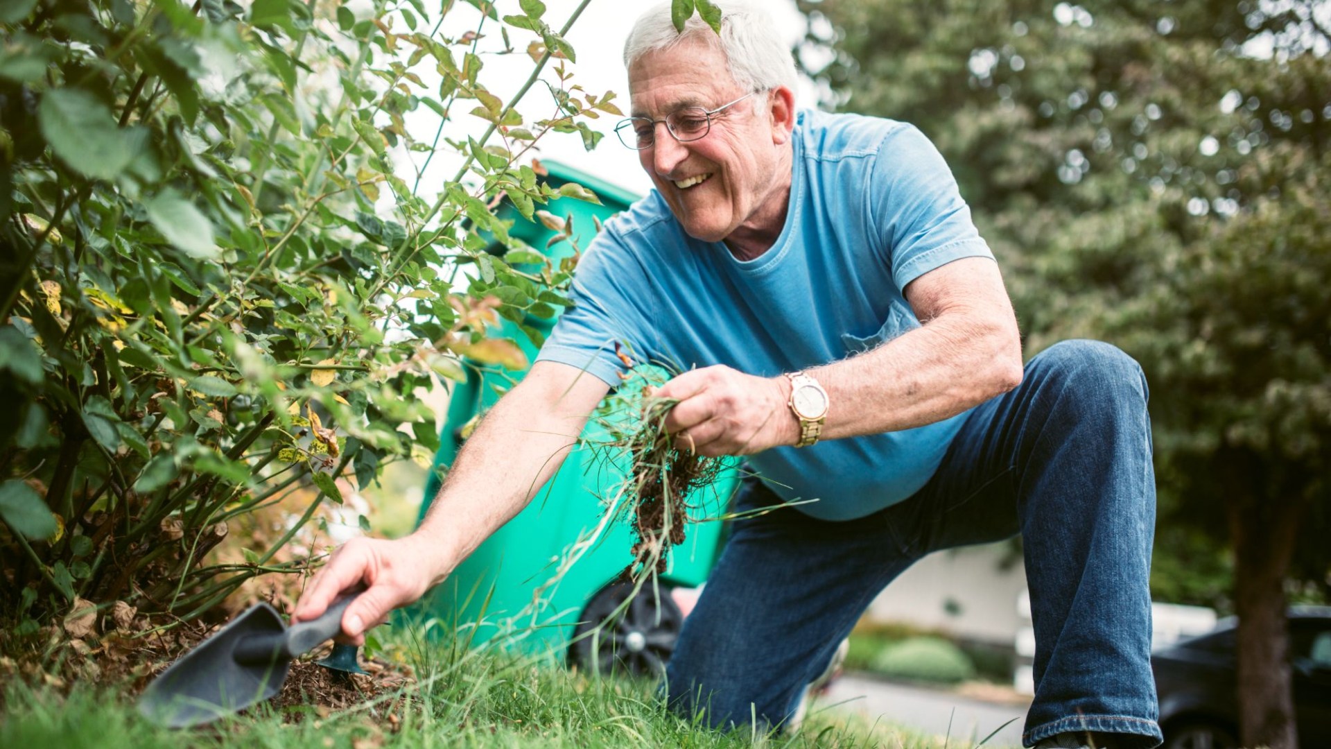 I am a gardening expert and I need you to do 5 jobs in the next week