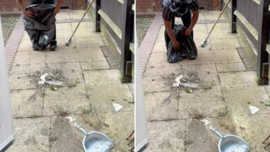 I hate cleaning my garden, but I have a hands-free trick for the terrace of my social housing