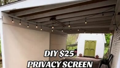 I made a privacy fence myself with a £19 purchase and it can also be used as an outdoor cinema