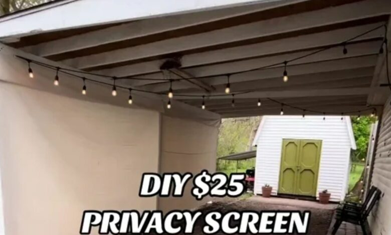 I made a privacy fence myself with a £19 purchase and it can also be used as an outdoor cinema