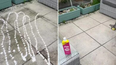 I mop my patio – the secret is a £1 purchase you probably already have