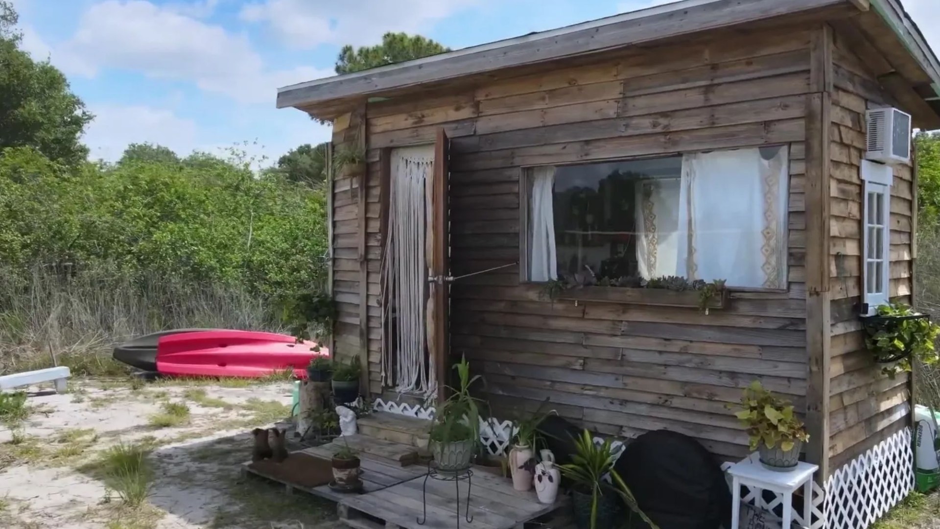 I quit my cleaning job and bought an old tool shed to convert into a tiny house