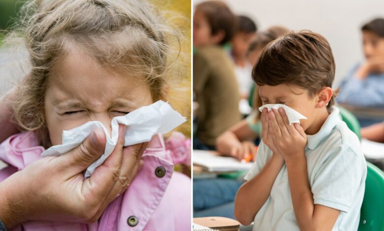 I send my children to school when they are sick – it’s the only way to avoid fines