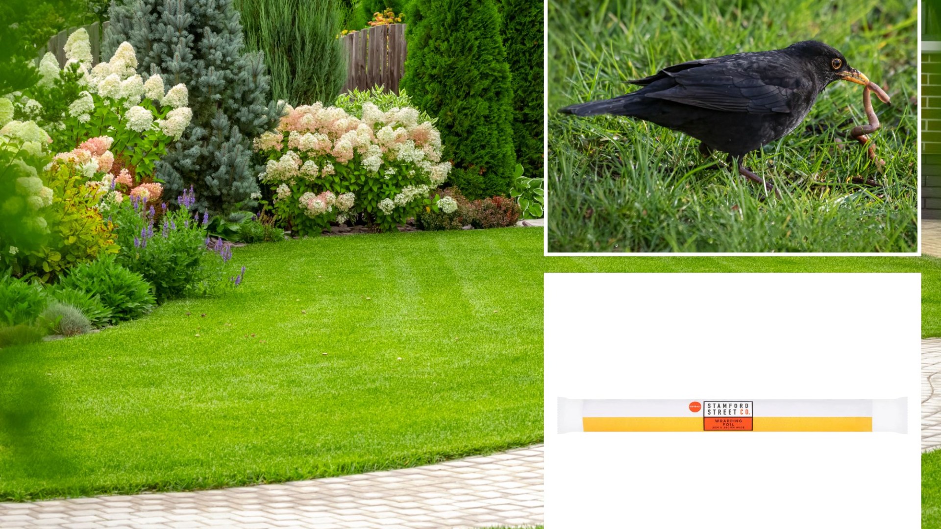 I’m a gardening pro – my £1 trick keeps grass green and lawns looking great all year round