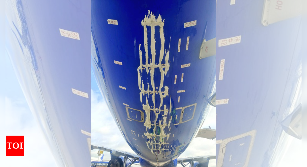 IndiGo BLR flight faces tail impact during takeoff from Delhi; DGCA ground staff | India News – Times of India