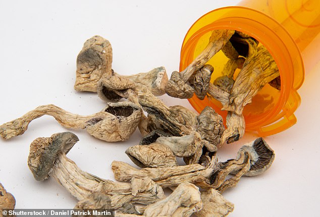 Man amputates penis and keeps it in a jar after taking a ‘heroic’ dose of magic mushrooms