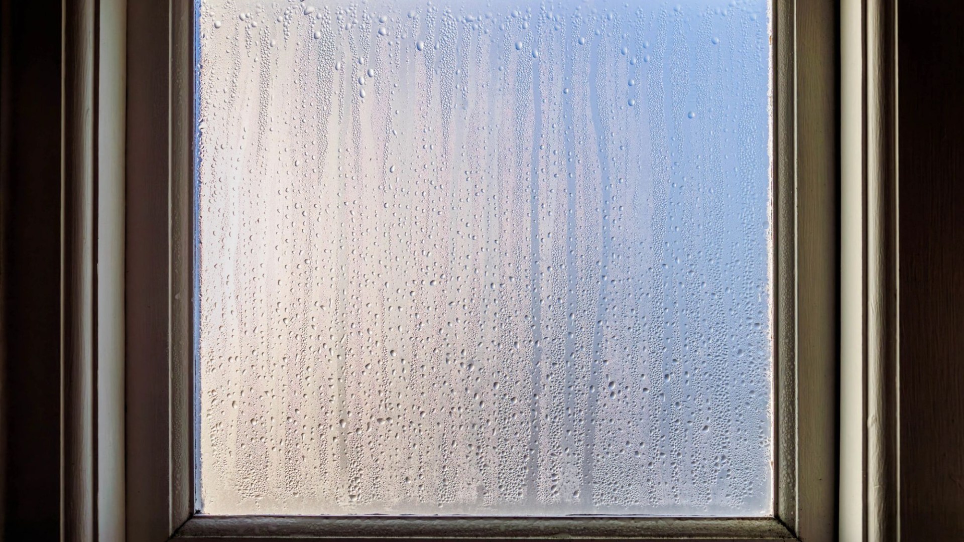 My windows are covered in condensation – luckily a 65 cent Aldi purchase absorbs moisture