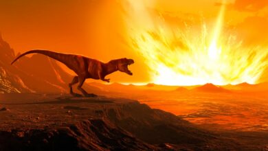 Origin of the dinosaur-killing asteroid: Scientists now think they know where it came from