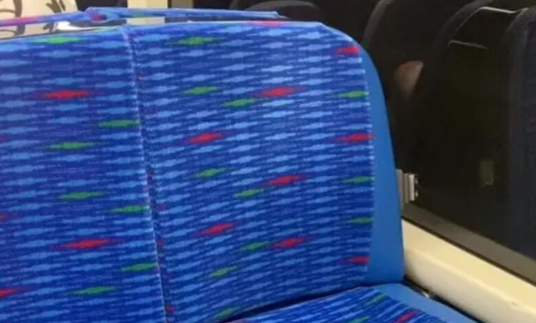 People were shocked when they just discovered the secret hidden feature on bus seats