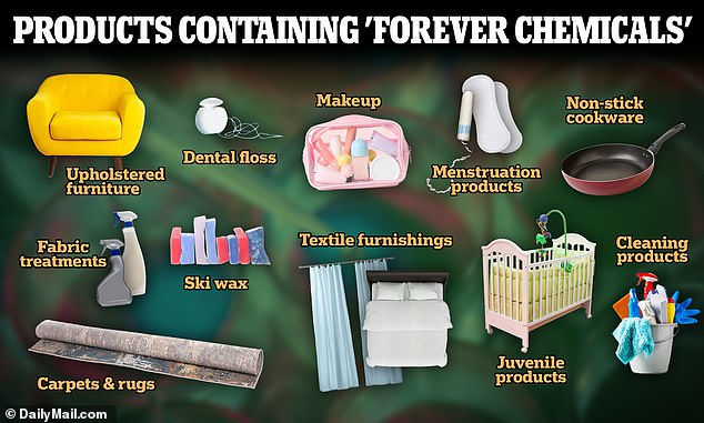 The 12 Everyday Goods That Will Be Banned in One US State Due to Cancer-Causing Chemicals