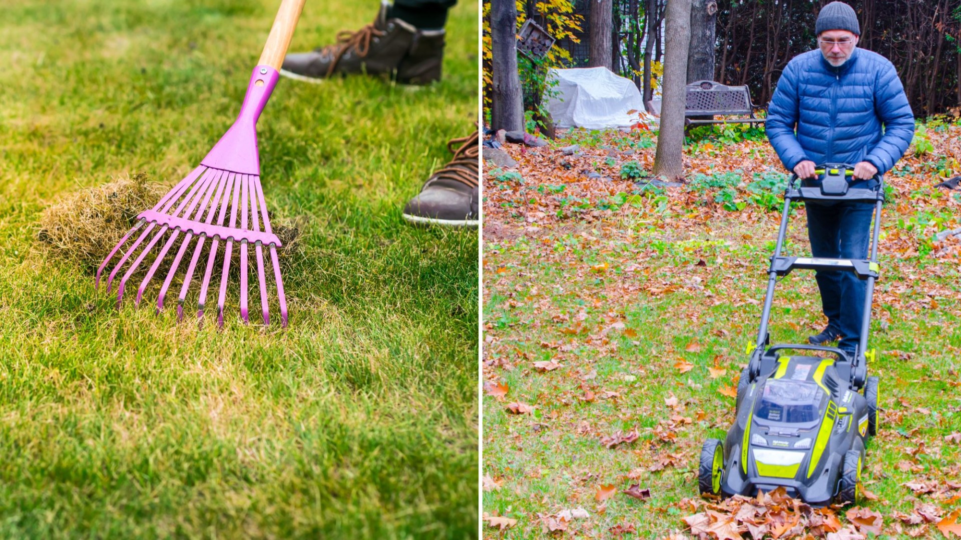 The essential task you need to do before October so your grass survives the winter