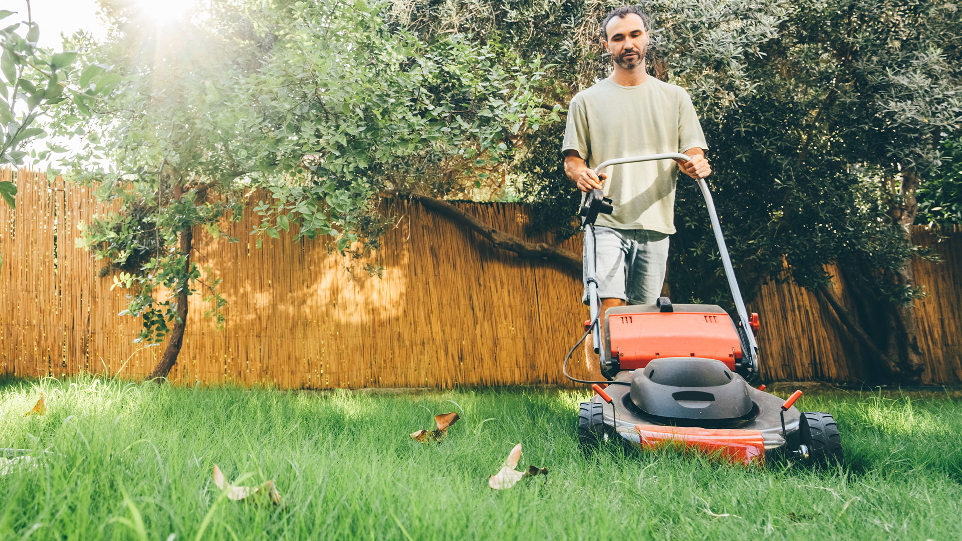 The exact time to mow in the fall if you want green grass in the spring: use the 1/3 rule