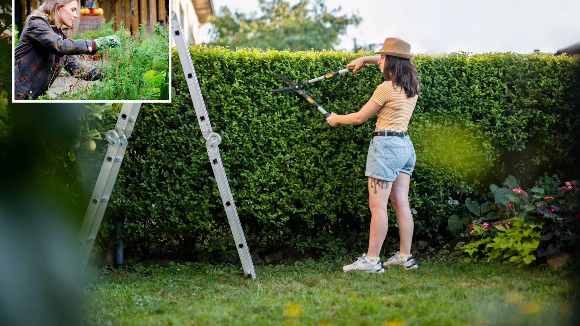 The most unusual tricks Brits use to make gardens bloom – including the use of BONES