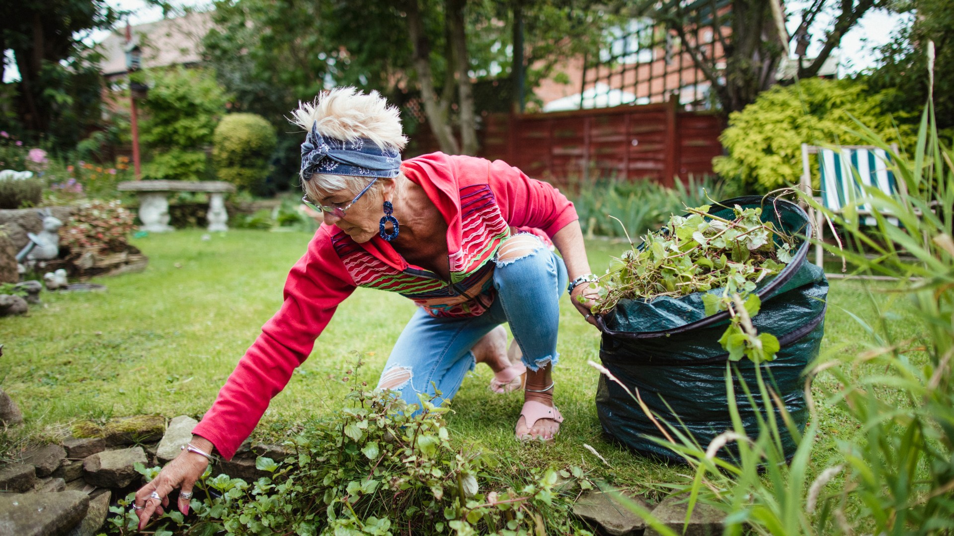 The seven gardening rules you must follow to avoid a whopping £27,000 fine