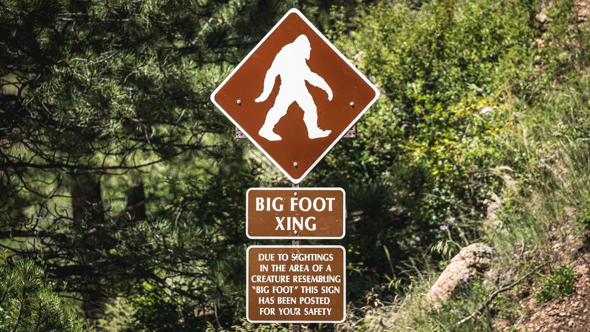 This AI bot checks for you if Bigfoot is real