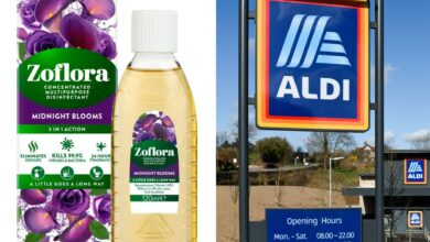 ‘Unleash your inner Mrs Hinch’, exact date offer Zoflora products now available at Aldi