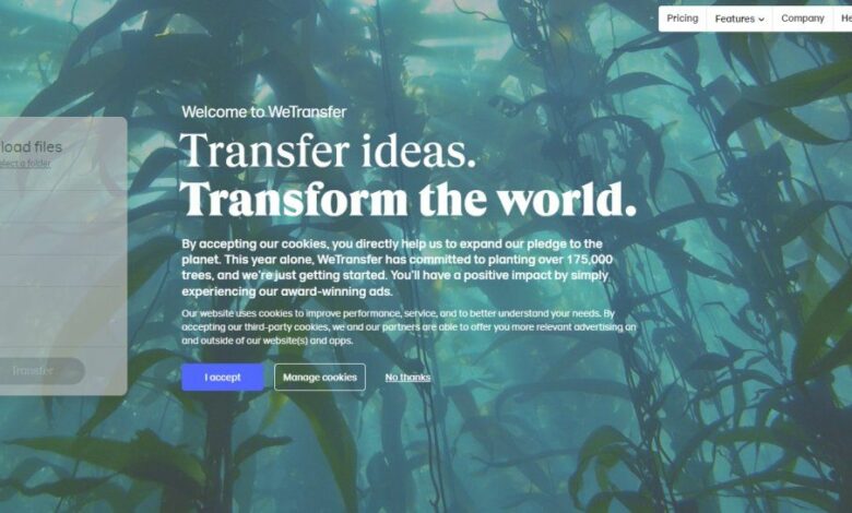 WeTransfer to lay off hundreds of employees after Bending Spoons acquisition