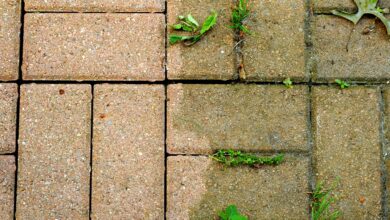 Why You Should NEVER Use a Pressure Washer to Clean Your Patio