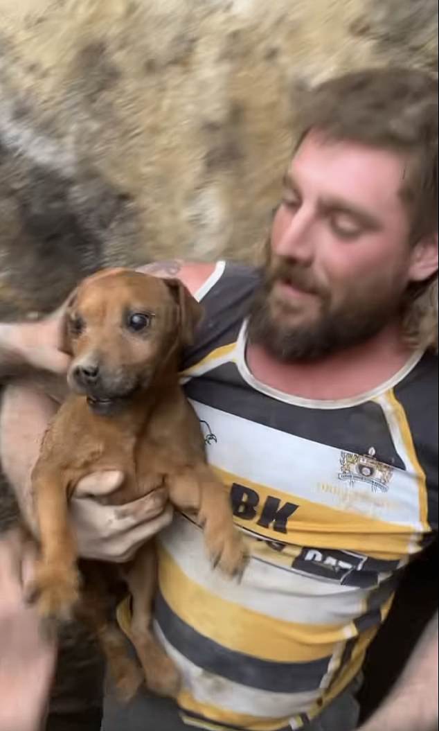 Rose is free! Joy as rescuers liberate dog which spent eight days trapped underground after falling down crevice