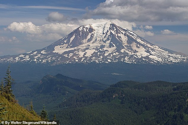 Is Washington’s ‘high threat’ volcano about to explode? Scientists baffled by record spike in earthquakes around Mount Adams