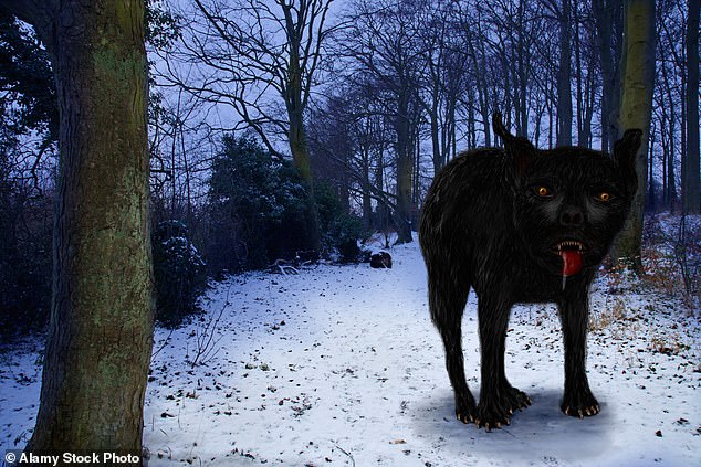 Unravelling the mystery of the Black Shuck: Experts reveal the truth behind the demon dog of East Anglia – as Charlie Cooper attempts to catch the beast on camera