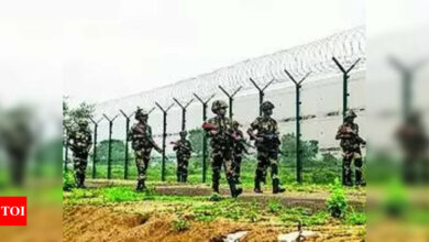 BSF foils infiltration bid by Bangladeshis in Tripura | India News – Times of India