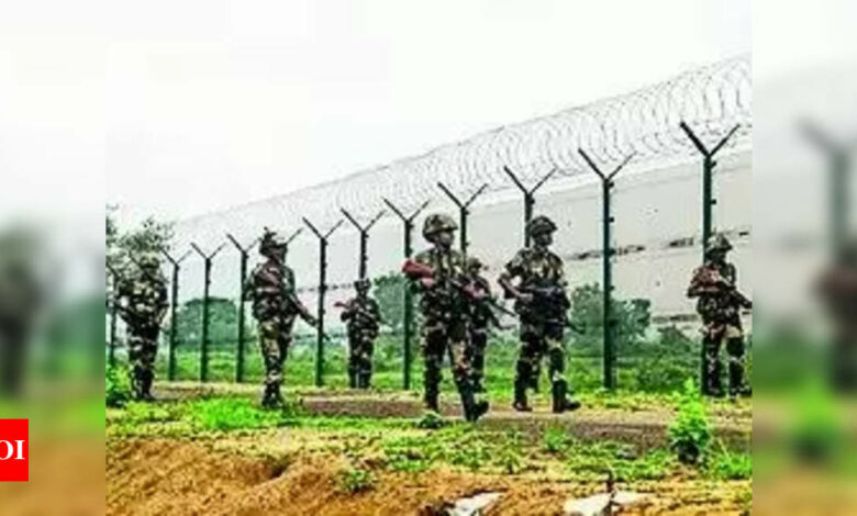 BSF foils infiltration bid by Bangladeshis in Tripura | India News – Times of India