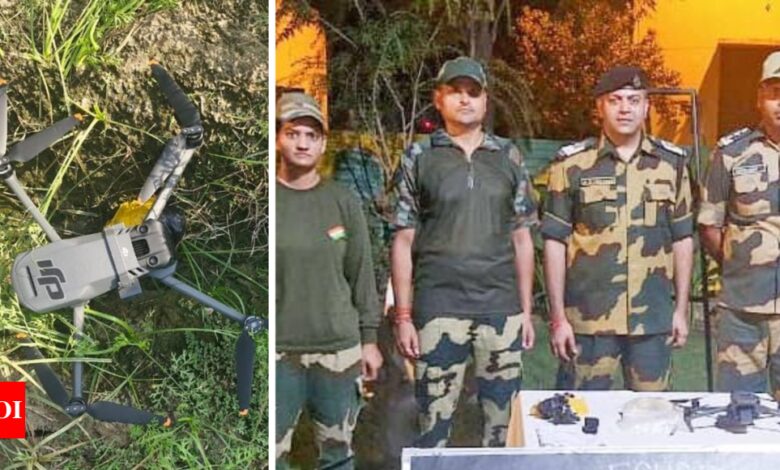 BSF shoots down Pakistani drone carrying heroin and gun in Ferozepur in Punjab | India News – Times of India