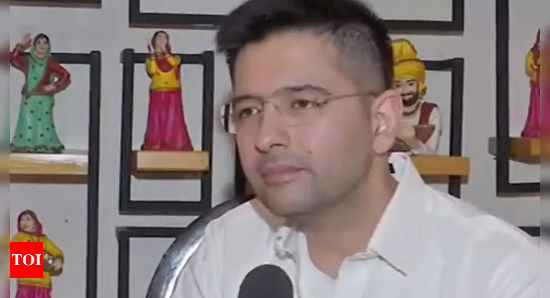 ‘Don’t think AAP needs any support’: Raghav Chadha says party will go solo in Delhi assembly elections | India News – Times of India