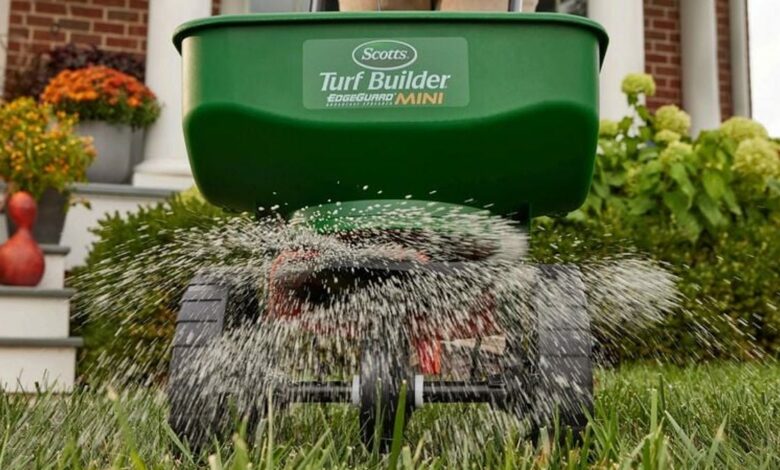 Here’s what professionals say you should do to your lawn before winter