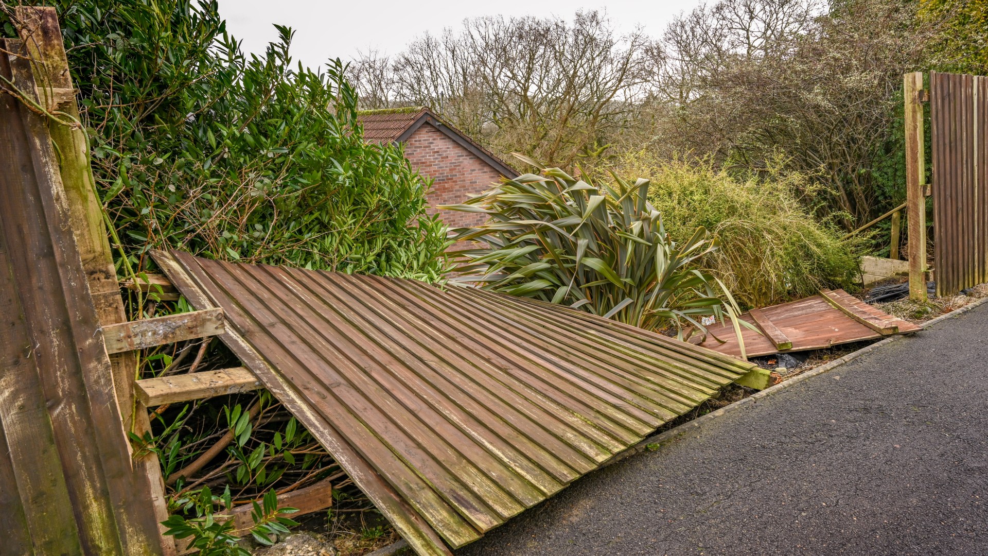 How to keep your garden safe during the storms next week