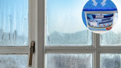 I live in a mobile home and have a top-notch trick for preventing condensation and mold