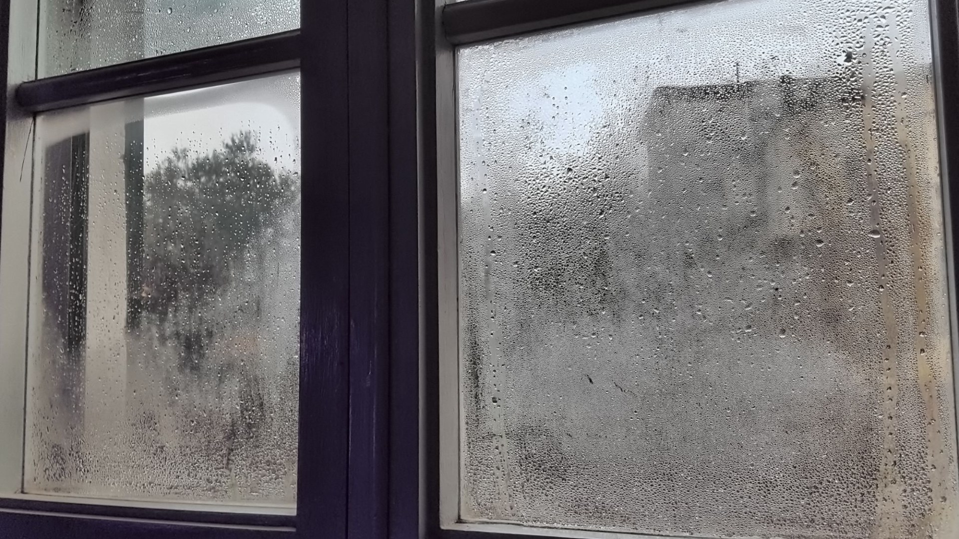 I’m the Queen of Clean, my 69p kitchen hack will remove window condensation