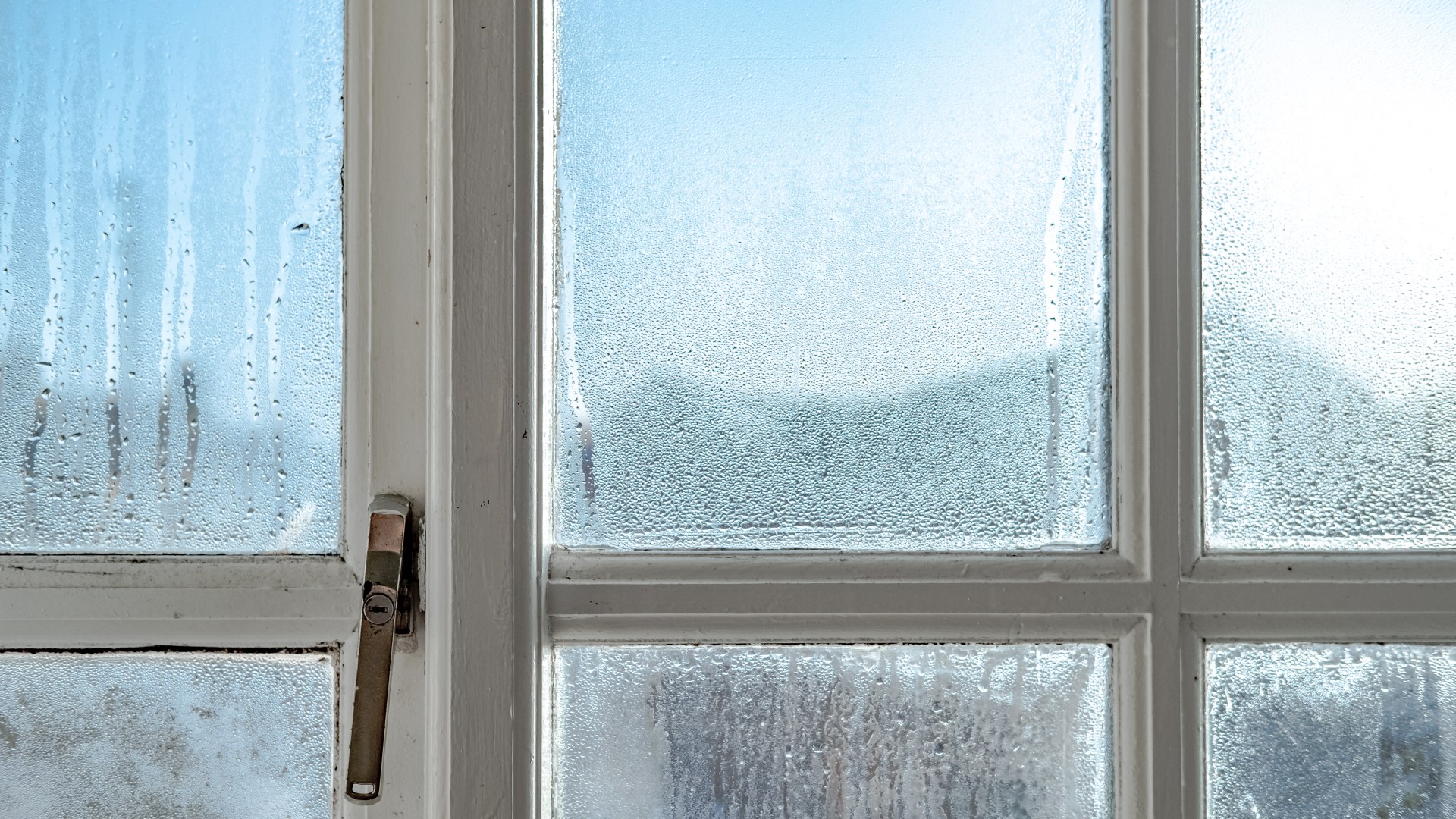 Keep condensation and mold out this winter with a £1 discount and save money on bills