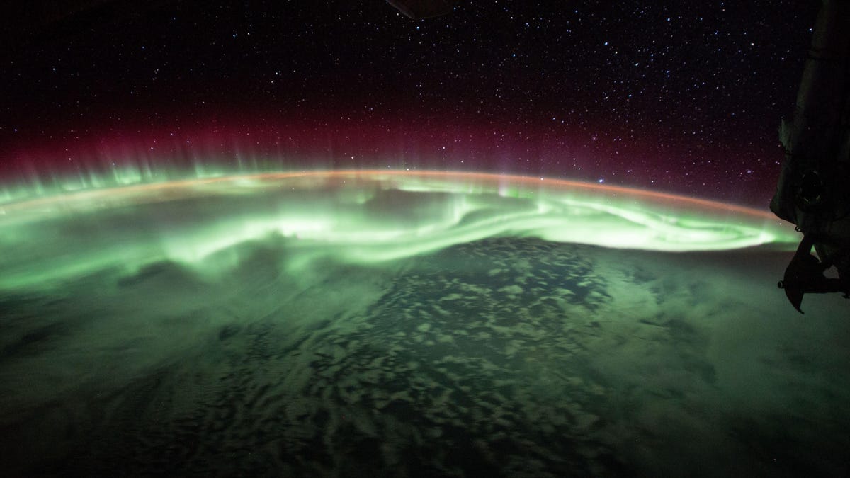 Look out for the Northern Lights to put on a dazzling show this week