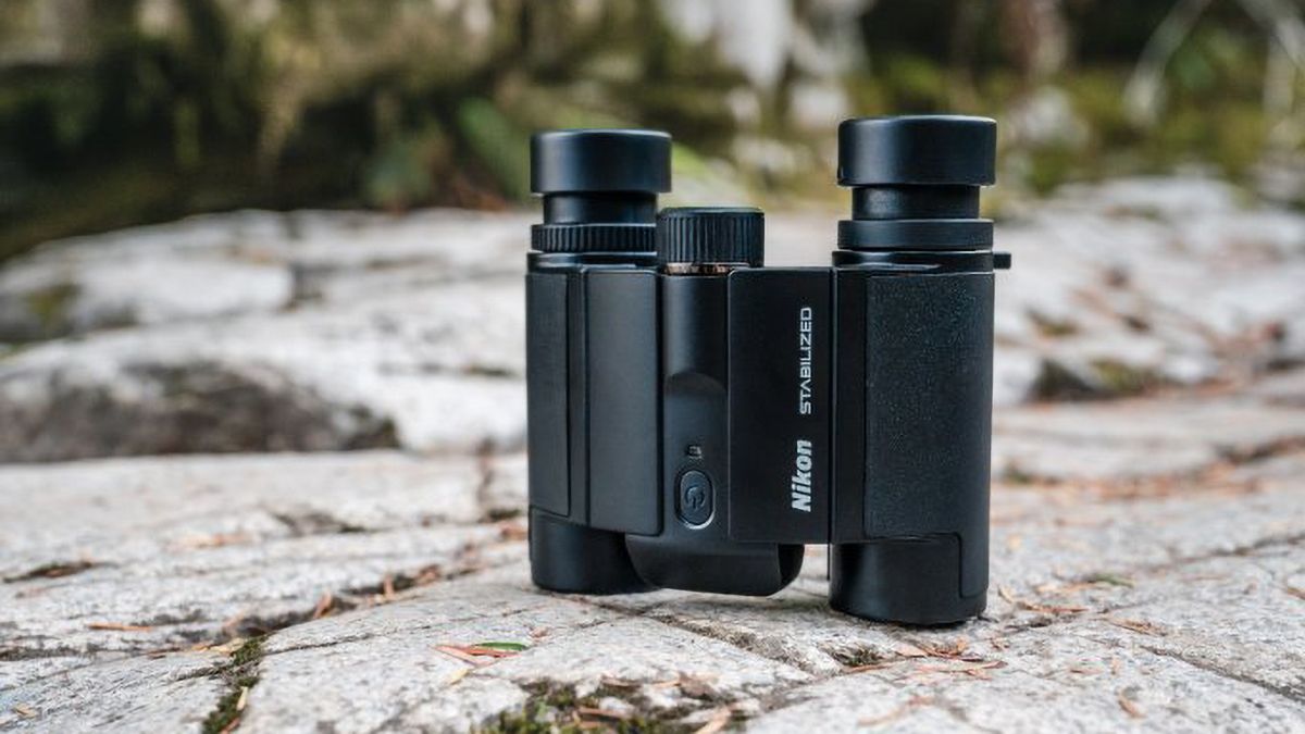 Nikon’s new compact, stabilized binoculars could be the perfect shake-free safari companion